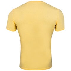Vīriešu T-krekls GUESS T-SHIRT CN SS CORE TEE, dzeltens M1RI24J1311 G2P4 44633 cena un informācija | Vīriešu T-krekli | 220.lv