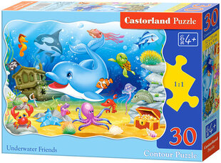 Zemūdens Draugi *30* cena un informācija | Puzles, 3D puzles | 220.lv