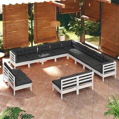 vidaXL 13-daļīgs dārza mēbeļu komplekts ar matračiem, balta priede цена и информация | Комплекты уличной мебели | 220.lv