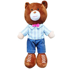 Медвежонок В Рубашке цена и информация | Мягкие игрушки | 220.lv