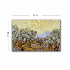 Reprodukcija Olive Trees with Yellow Sky and Sun cena un informācija | Gleznas | 220.lv