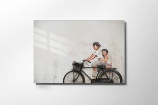 Картина из закаленного стекла Велосипед цена и информация | Картины | 220.lv