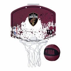 Баскетбольная корзина Wilson WTBA1302CLE цена и информация | Баскетбольные щиты | 220.lv