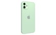 Renewd® iPhone 12 64GB Green cena un informācija | Mobilie telefoni | 220.lv