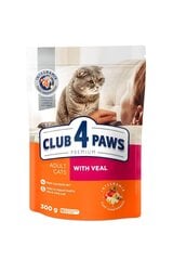 CLUB 4 PAWS Premium pilnvērtīga sausā barība pieaugušiem kaķiem, ar teļa gaļu, 300 g. cena un informācija | Sausā barība kaķiem | 220.lv