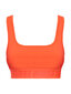 Krūšturis GUESS AILEEN ACTIVE BRA ORANGE NEON V2GP08MC049 G5H8 45884 цена и информация | Krūšturi | 220.lv