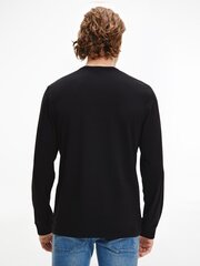 Vīriešu T-krekls CALVIN KLEIN L/S CREW NECK, melns 000NM2171E UB1 42553 цена и информация | Мужские футболки | 220.lv