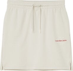 Юбка Calvin Klein TWO TONE MONOGRAM SKIRT J20J218726 ACF 45331 цена и информация | Юбки | 220.lv