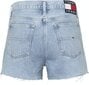 Sieviešu šorti Tommy Hilfiger HOTPANT BF0012 DENIM DW0DW12458 1AB 45735 cena un informācija | Sieviešu šorti | 220.lv