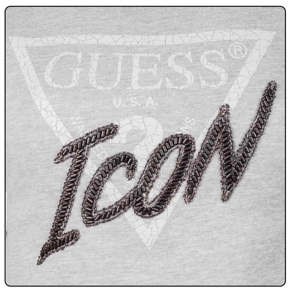 Sieviešu sporta džemperis Guess CN ICON SWEATSHIRT, pelēks W2RQ20K68I0 LHY 42805 цена и информация | Sieviešu džemperi | 220.lv