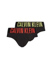 Apakšbikses vīriešiem Calvin Klein SLIPY HIP BRIEF 2 pāri, melnas 000NB2601A W3M 44994 цена и информация | Мужские трусы | 220.lv