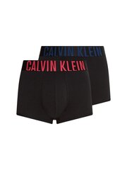 Vīriešu apakšbikses Calvin Klein, 2 pāri, melnas 000NB2602A 1SQ 45087 цена и информация | Мужские трусы | 220.lv