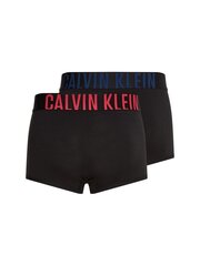 Vīriešu apakšbikses Calvin Klein, 2 pāri, melnas 000NB2602A 1SQ 45087 цена и информация | Мужские трусы | 220.lv