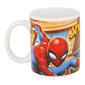 Krūze Spiderman Great Power 325 ml (11,7 x 10 x 8,7 cm) cena un informācija | Glāzes, krūzes, karafes | 220.lv