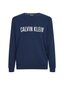 Vīriešu T-krekls Calvin Klein SWEATSHIRT L/S, tumši zils 000NM1960E 8SB 42544 cena un informācija | Vīriešu T-krekli | 220.lv