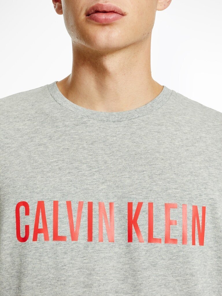 Vīriešu T-krekls Calvin Klein SWEATSHIRT L/S, pelēks 000NM1960E W6K 42839 cena un informācija | Vīriešu T-krekli | 220.lv