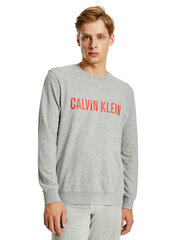 Мужская футболка Calvin Klein SWEATSHIRT L/S, серая 000NM1960E W6K 42839 цена и информация | Мужские футболки | 220.lv
