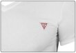 Vīriešu T-krekls Guess T-SHIRT VN SS CORE TEE WHITE M1RI32J1311 G011 43619 cena un informācija | Vīriešu T-krekli | 220.lv