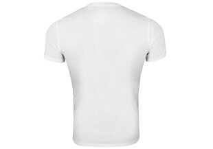 Мужская футболка Guess T-SHIRT VN SS CORE TEE WHITE M1RI32J1311 G011 43619 цена и информация | Мужские футболки | 220.lv