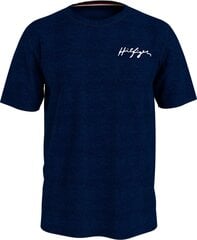 Мужская футболка Tommy Hilfiger T-SHIRT CREW NECK TEE NAVY UM0UM02314 DW5 44494 цена и информация | Мужские футболки | 220.lv
