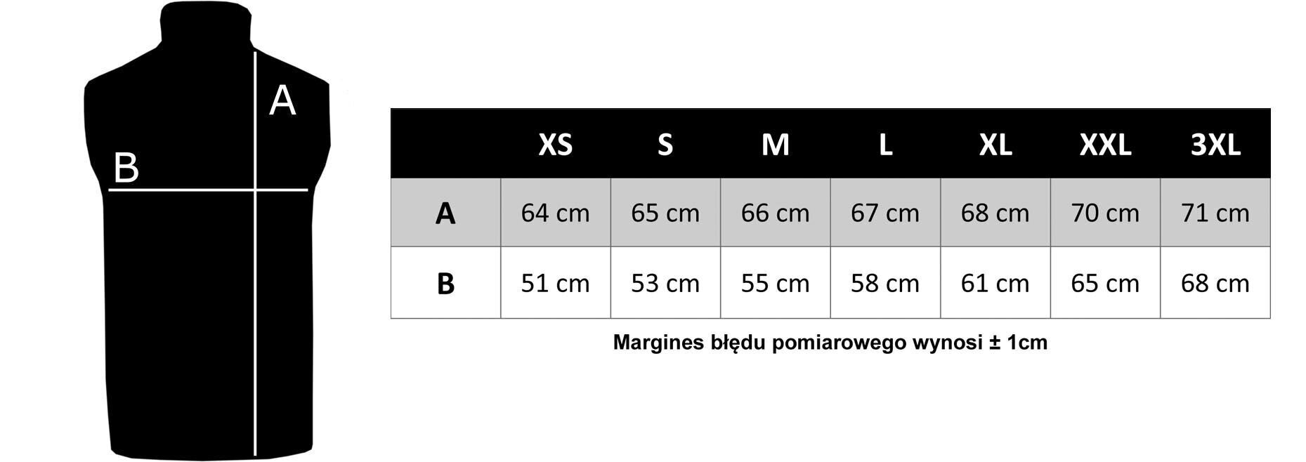 Veste vīriešiem TOMMY HILFIGER CORE PACKABLE DOWN VEST, zila MW0MW12719 CJM cena un informācija | Vīriešu vestes | 220.lv