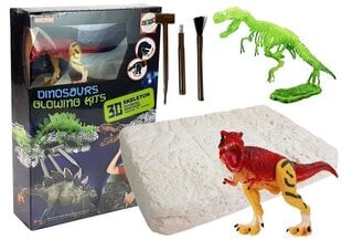 Jauna arheologa komplekts ar tumsā mirdzošu dinozauru цена и информация | Развивающие игрушки | 220.lv