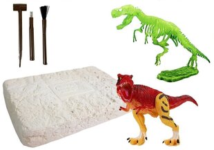 Jauna arheologa komplekts ar tumsā mirdzošu dinozauru цена и информация | Развивающие игрушки | 220.lv