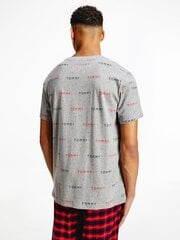 Vīriešu T-krekls Tommy Hilfiger CN SS TEE PRINT, pelēks UM0UM02132 0IM 42563 цена и информация | Мужские футболки | 220.lv