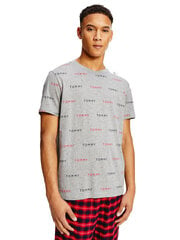 Vīriešu T-krekls Tommy Hilfiger CN SS TEE PRINT, pelēks UM0UM02132 0IM 42563 цена и информация | Мужские футболки | 220.lv