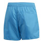 Bērnu Peldkostīms Adidas YB BOS SHORTS FL8714 цена и информация | Peldbikses zēniem | 220.lv