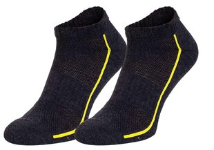 Zeķes vīriešiem HEAD SOCKS PERFORMANCE SNEAKER 2 pāri, pelēkas 791018001 009 44679 cena un informācija | Vīriešu zeķes | 220.lv