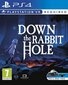 PS VR Down the Rabbit Hole cena un informācija | Datorspēles | 220.lv