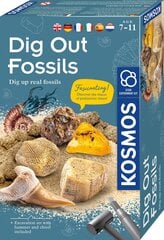 Radošais komplekts Dig out fossils, 3 gadi + цена и информация | Развивающие игрушки | 220.lv