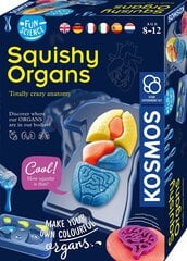 Творческий набор Squichy Organs, 8 лет+ цена и информация | Развивающие игрушки | 220.lv