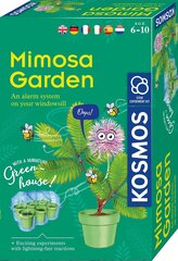 Radošais komplekts Mimosa garden, 6 gadi + cena un informācija | Attīstošās rotaļlietas | 220.lv