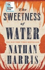 Sweetness of Water: Longlisted for the 2021 Booker Prize цена и информация | Романы | 220.lv