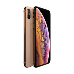 Телефон iPhone XS 64GB Gold (подержанный, состояние A) цена и информация | Мобильные телефоны | 220.lv