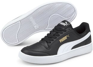 Детские кроссовки Puma Shuffle Jr 375688 03/4, черные цена и информация | Детская спортивная обувь | 220.lv