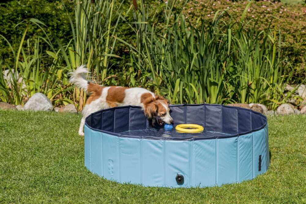 Salokāms baseins suņiem Trixie, 80x20 cm, zils cena un informācija | Kopšanas līdzekļi dzīvniekiem | 220.lv