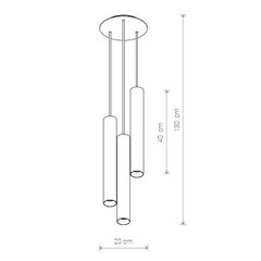 Nowodvorski Lighting подвесной светильник Eye 8915 цена и информация | Настенный/подвесной светильник Eye Spot 11 BL, чёрный | 220.lv