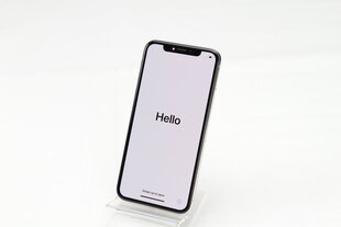 iPhone X 64GB Silver (lietots, stāvoklis A) cena un informācija | Mobilie telefoni | 220.lv