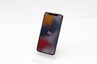 iPhone X 64GB Silver (lietots, stāvoklis A) cena un informācija | Mobilie telefoni | 220.lv