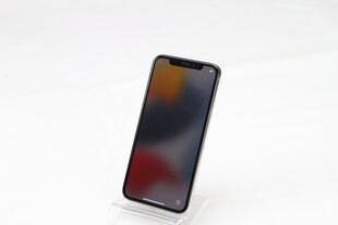 iPhone X 64GB Silver (lietots, stāvoklis A) cena un informācija | Mobilie telefoni | 220.lv