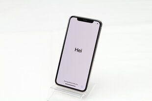 iPhone X 64GB Silver (lietots, stāvoklis A) cena un informācija | Mobilie telefoni | 220.lv