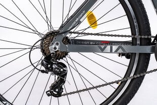 Горный велосипед Corelli Via 1.2 29", серый/красный цена и информация | Велосипеды | 220.lv
