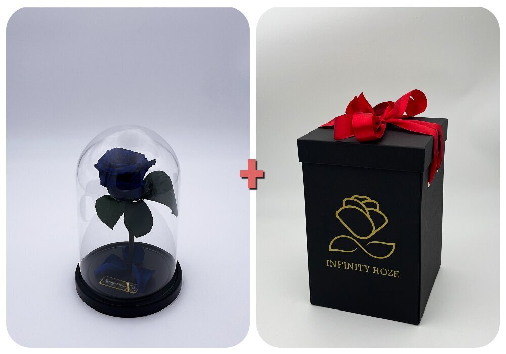Roze stikla kolbā S, Zila (20 cm aug. / 12,5 cm plat.) + kaste ar Wow-efektu cena un informācija | Stabilizētās rozes, augi | 220.lv