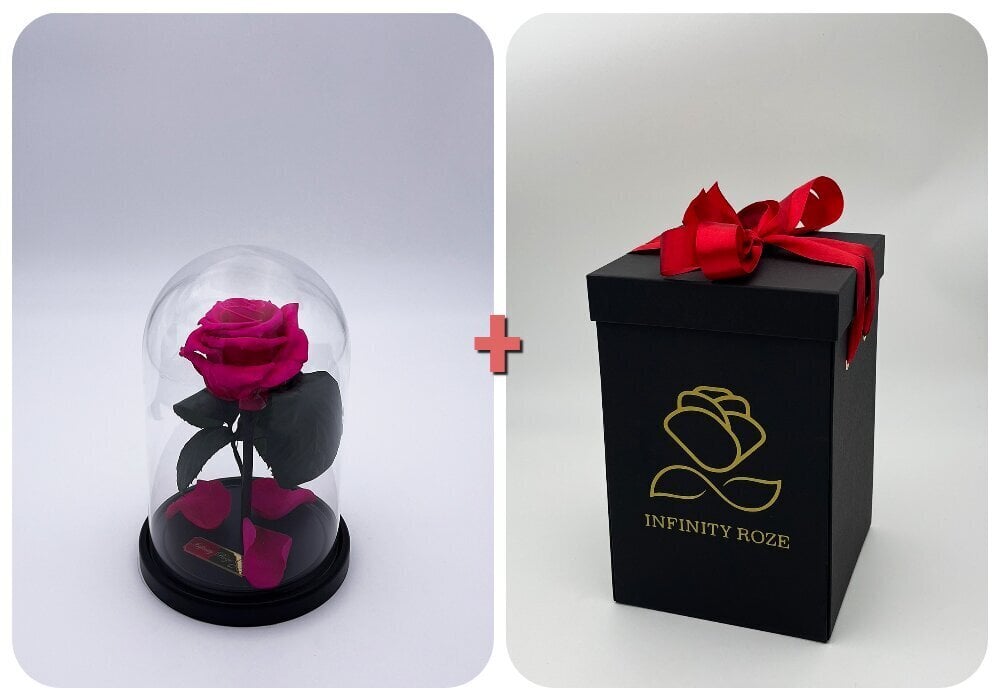 Roze stikla kolbā S, Fuksijas krāsā (20 cm aug. / 12,5 cm plat.) + kaste ar Wow-efektu cena un informācija | Stabilizētās rozes, augi | 220.lv