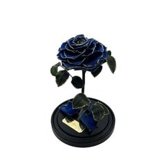 Roze stikla kolbā M, Rozā (25 cm aug. / 15 cm plat.) + kaste ar Wow-efektu цена и информация | Спящие стабилизированные розы, растения | 220.lv