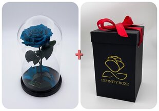 Роза в колбе M, цвета Тиффани (25 см выс. / 15 см шир.) + коробка с Вау-эффектом цена и информация | Спящие стабилизированные розы, растения | 220.lv