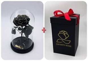 Роза в колбе M, Черная Gold (25 см выс. / 15 см шир.) + коробка с Вау-эффектом цена и информация | Спящие стабилизированные розы, растения | 220.lv